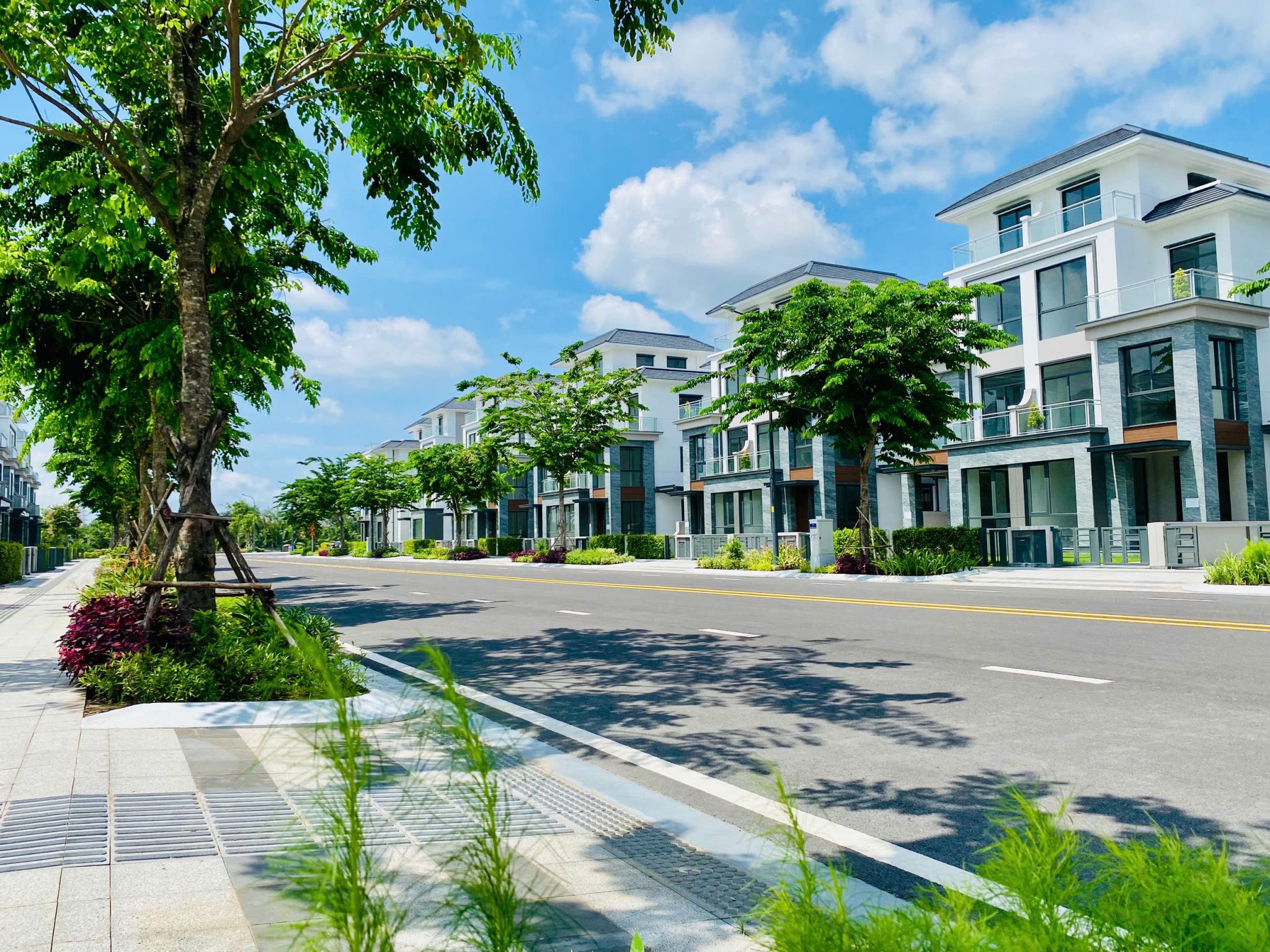 z6782468142342 8aa2a3fbd7a5234e936ab6dd4c321afb 2048x1536.jpg